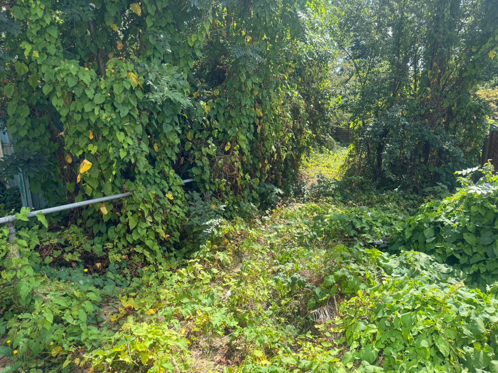 Wingfoot Avenue, Wolverhampton, West Midlands, WV10 9HW